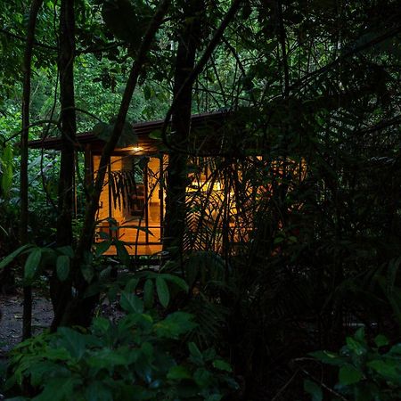 Hamadryade Lodge Puerto Misahuallí المظهر الخارجي الصورة