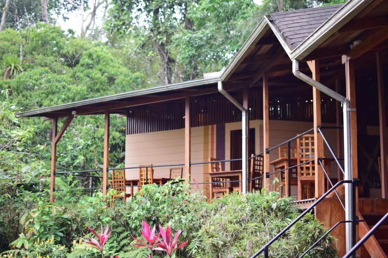 Hamadryade Lodge Puerto Misahuallí المظهر الخارجي الصورة