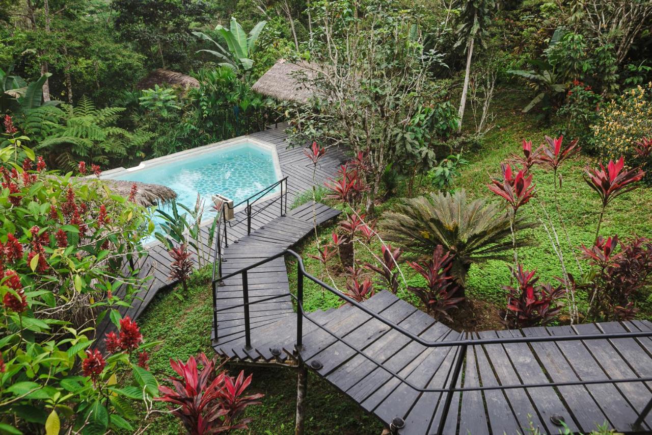Hamadryade Lodge Puerto Misahuallí المظهر الخارجي الصورة