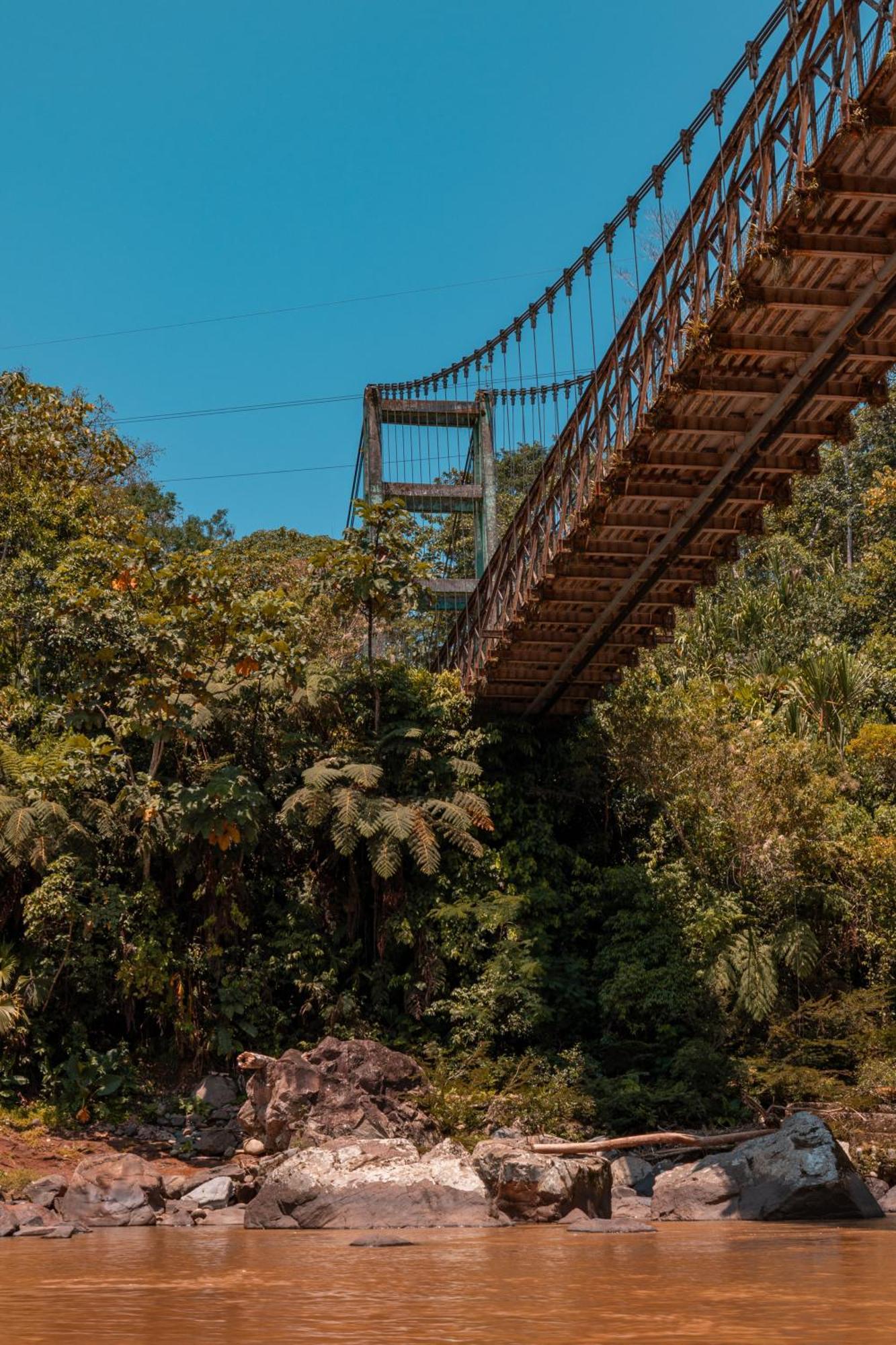 Hamadryade Lodge Puerto Misahuallí المظهر الخارجي الصورة