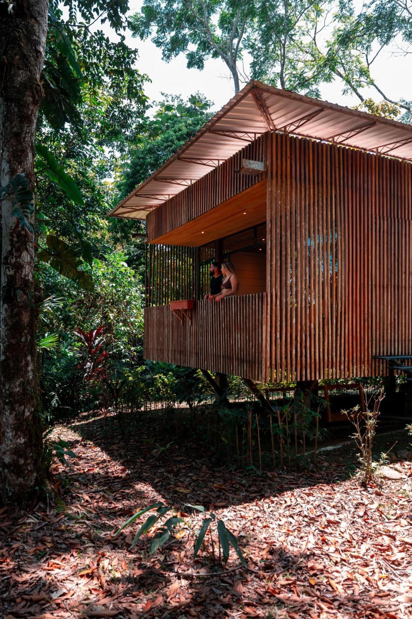 Hamadryade Lodge Puerto Misahuallí المظهر الخارجي الصورة