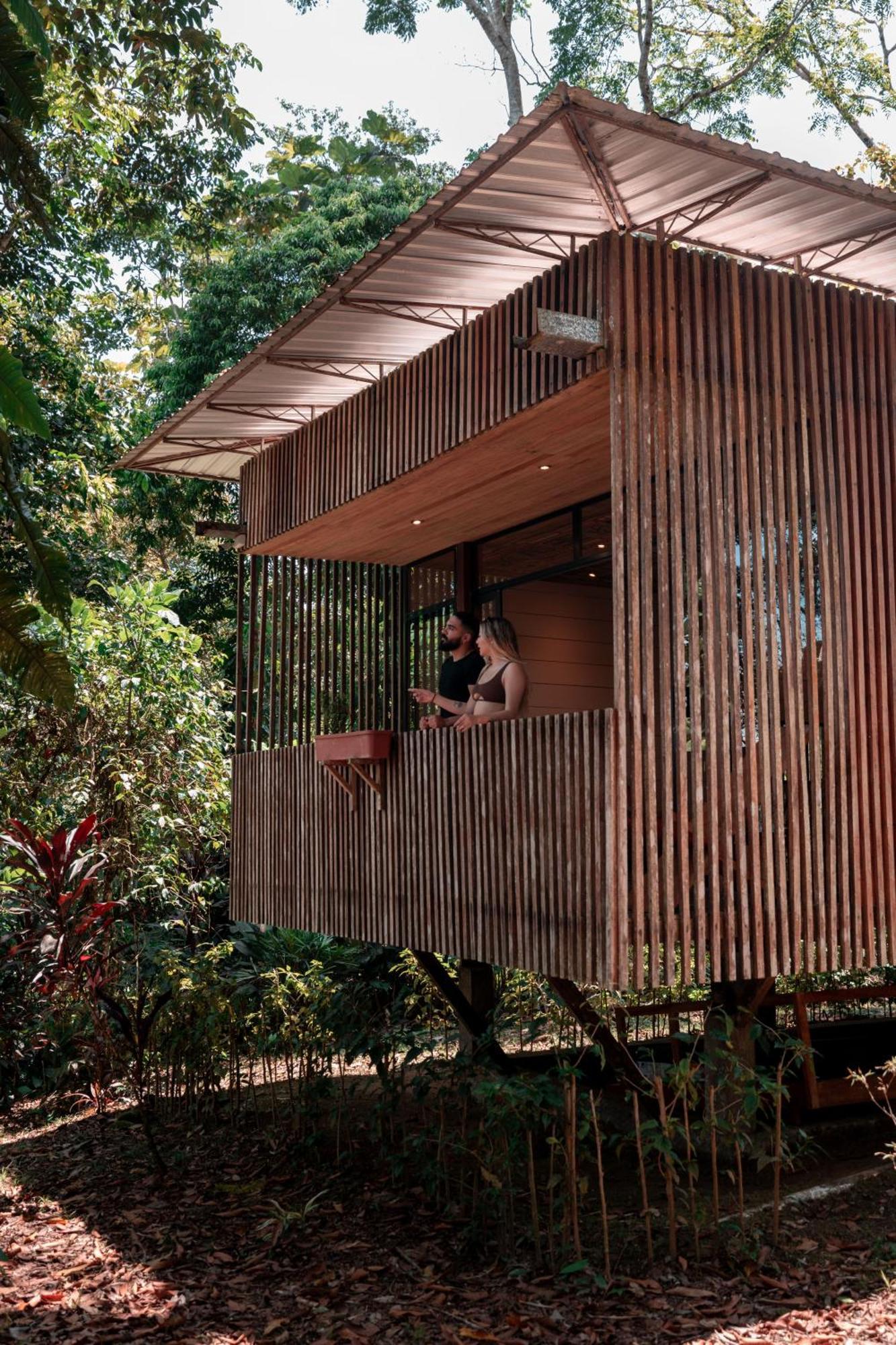 Hamadryade Lodge Puerto Misahuallí المظهر الخارجي الصورة