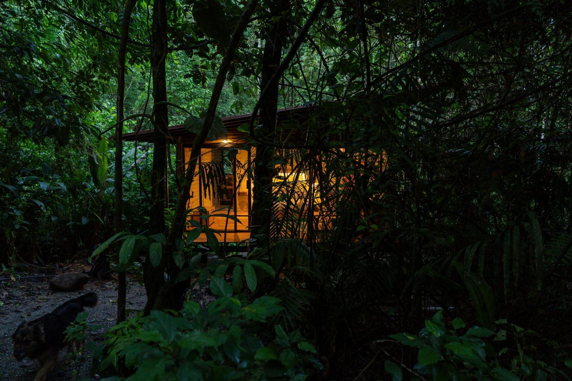 Hamadryade Lodge Puerto Misahuallí المظهر الخارجي الصورة